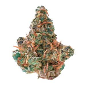 Image of Cannamedical Hybrid Forte KA
