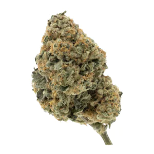 Image of Fire Gold 33/1 SMC