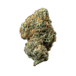 Image of ZOIKS 26/1 PD