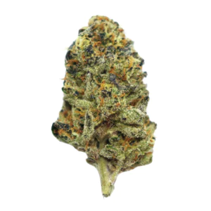 Image of Fire Gold 30/1 PMM