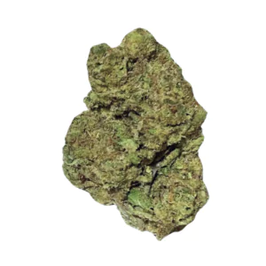 Image of Shrubs 25/1 SGK