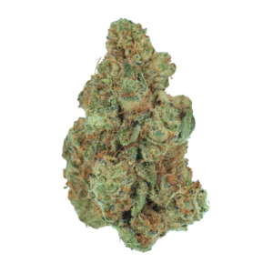 Image of Bathera 30/1 FA Facetz