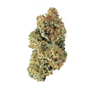 Image of UPSTATE 26 FB