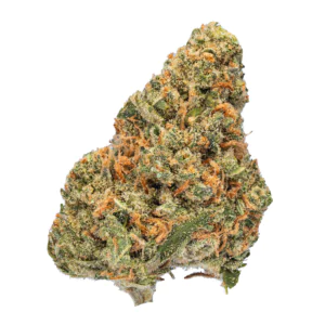 Image of enua 22/1 EG CA