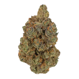 Image of Cannamedical Hybrid Forte BC GT