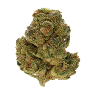 Image of Medicus 27/1 EZA GMO