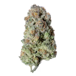 Image of Soma OG 30/1 BCP