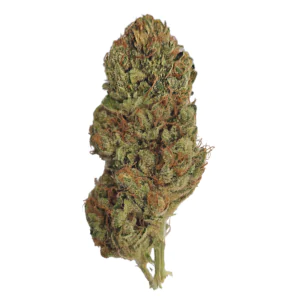 Image of alephSana air 18/1