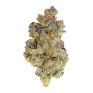 Image of Fast Leaf 33/1 SMH