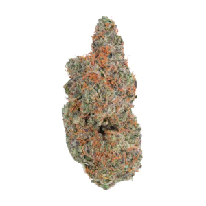 Image of enua 27/1 CPC CA