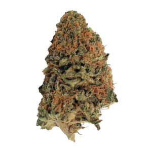 Image of Cannamedical Indica Classic AU LPC