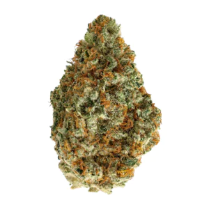 Image of Remexian 27/1 GJY MUN