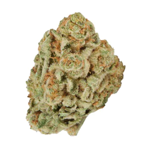Image of Sibanax Crescendo 22/1