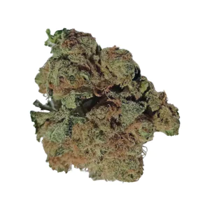 Image of Tilray THC22 Spotlight Porto TM