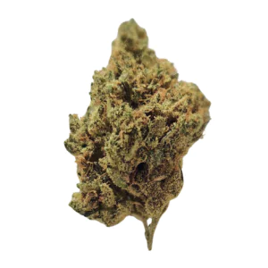 Image of Remexian 27/1 GCC CCK