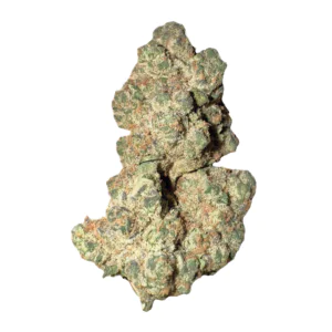 Image of MGF King Bling 26/1