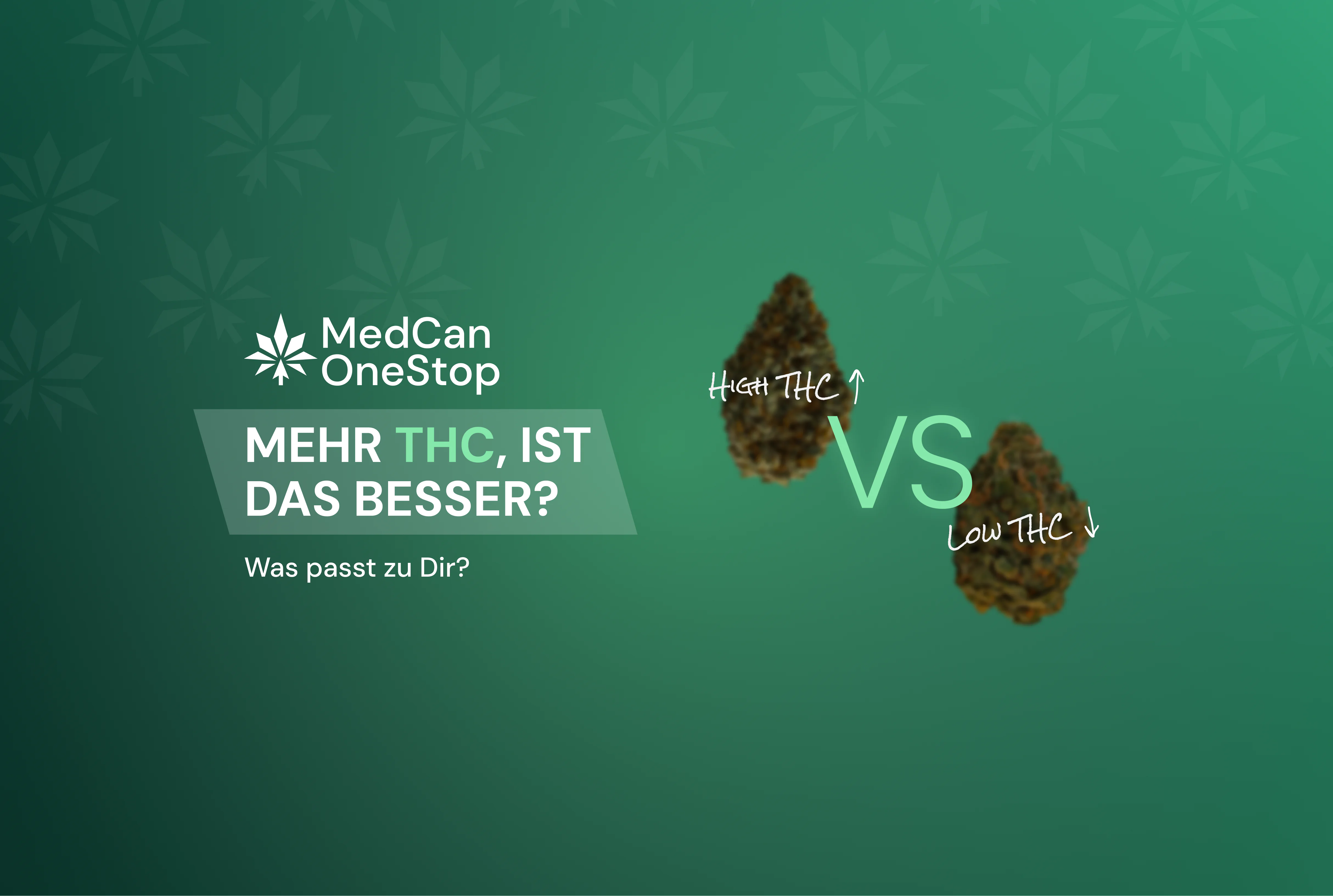 Warum der THC-Gehalt einer Cannabisblüte nicht alles ist