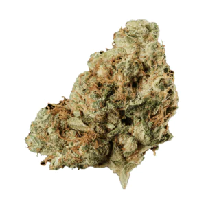 Image of 420 Evolution 27/1 CA FRG
