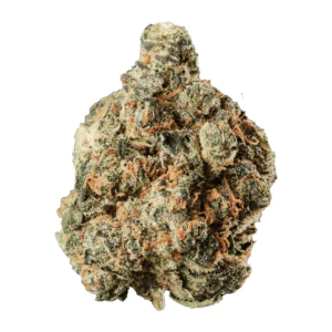 Image of HUALA 25/1 CA SCO