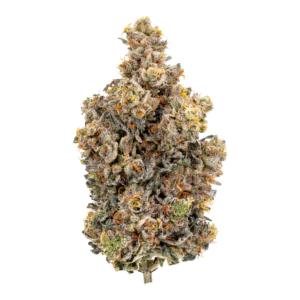 Image of 24/1 IUVO OC RAINBOW CHIP