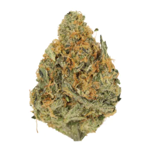 Image of Cannamedical Hybrid forte NM RJ