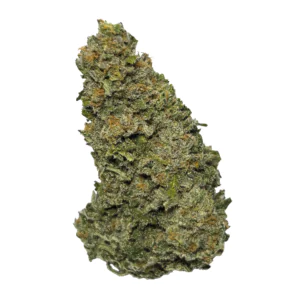 Image of Wellford Aquaponic 26/1 GTH