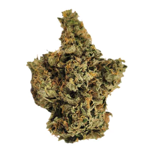 Image of Wellford Peak 30/1 CA T95