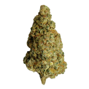 Image of ZOIKS 31/1 BB