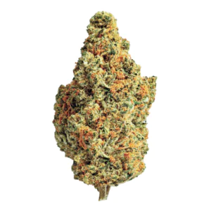 Image of ZOIKS 26/1 TG
