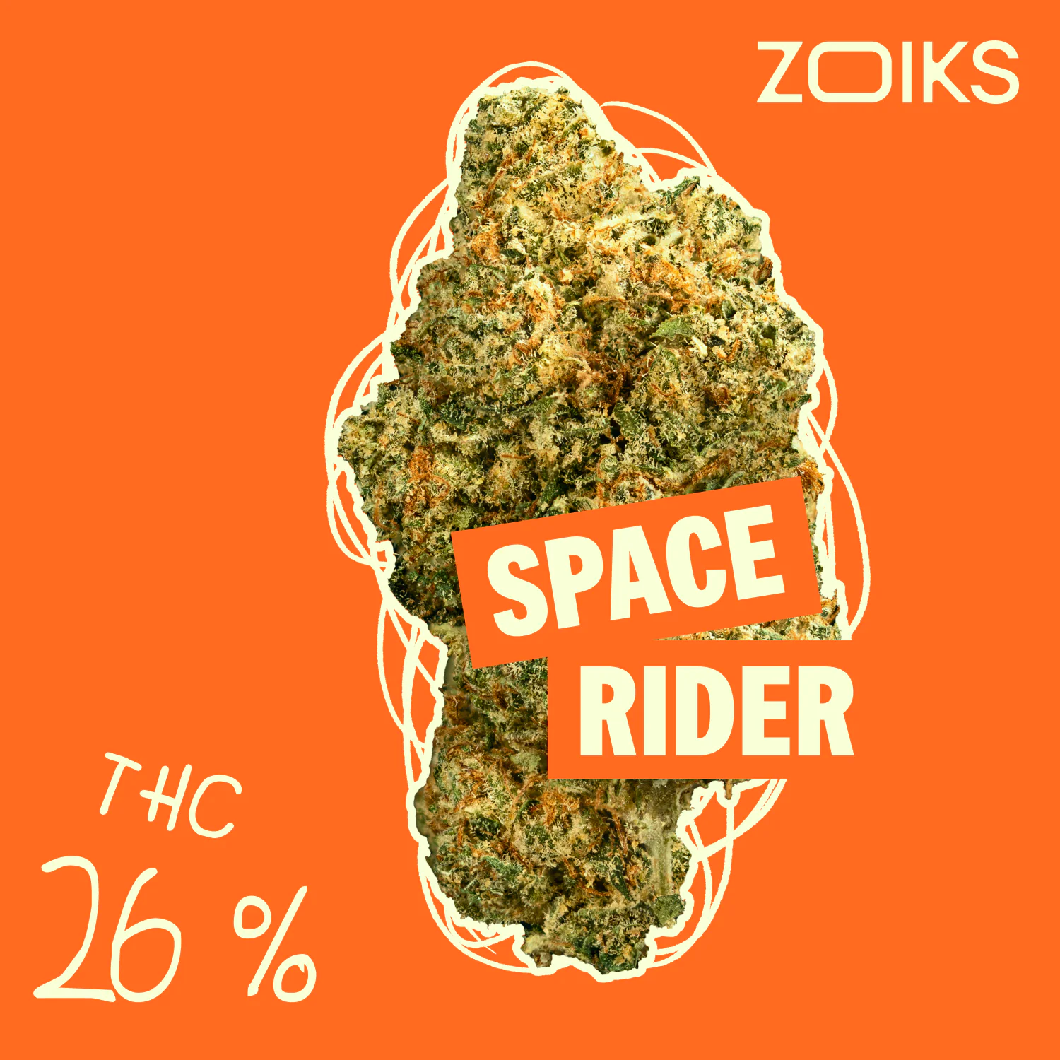 Image of ZOIKS 26/1 SR