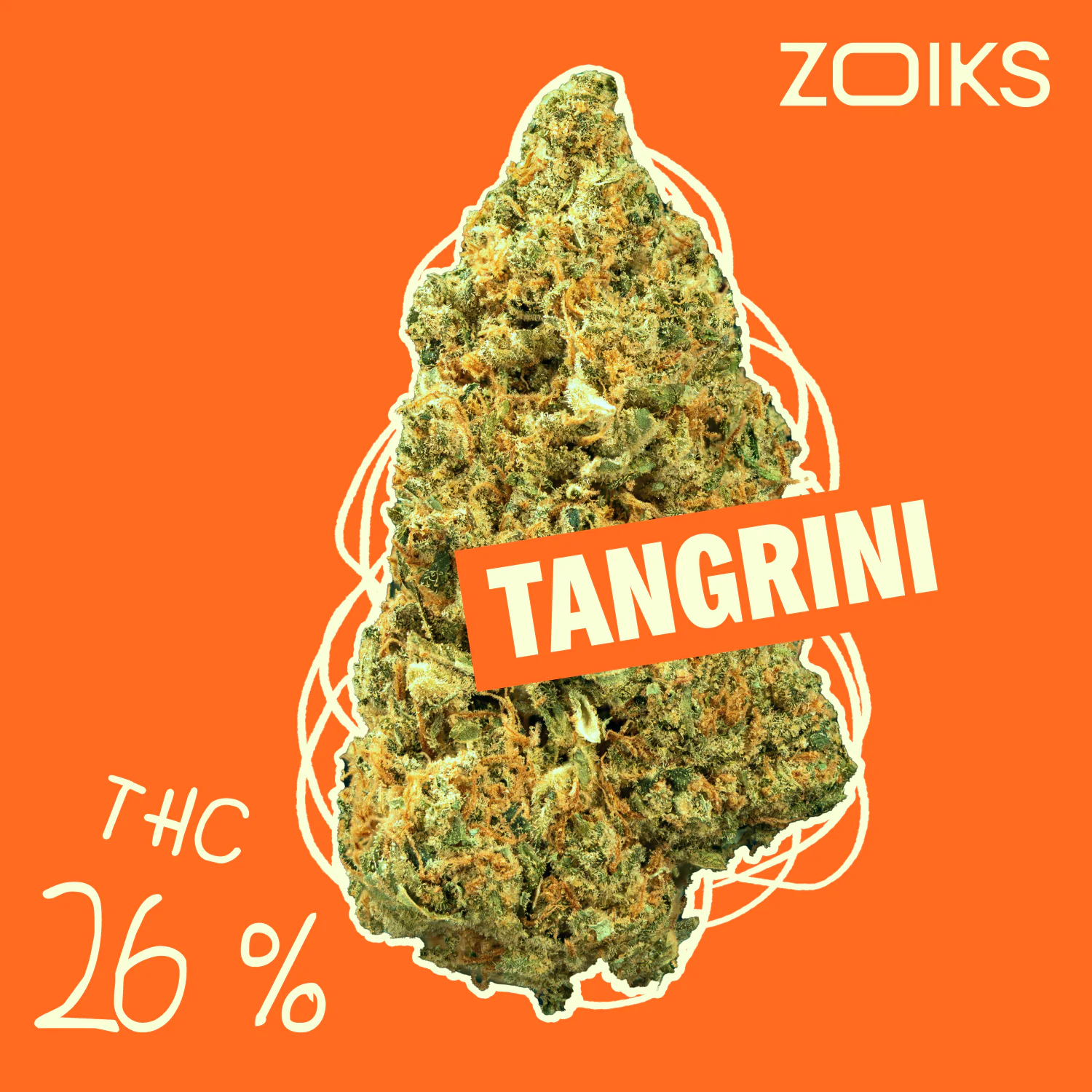 Image of ZOIKS 26/1 TG