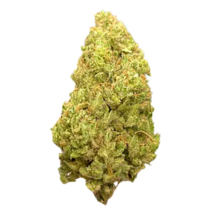 Image of aleph fire 30/1