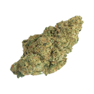 Image of enua 30/1 SF4 CA CGG