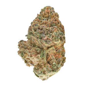 Image of 35/1 Natural Buds BBY