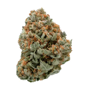 Image of Remexian 33/1 MTL PAR