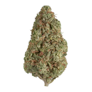 Image of Remexian 27/1 GJY GRY