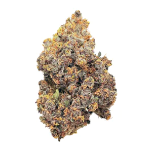 Image of slouu 30/1 ZKS CA