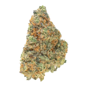 Image of Nimbus easy 26/1 AT