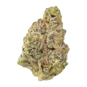 Image of TRUU GT 23:01 Crumbled Lime