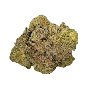 Image of Barongo 28/1 DR