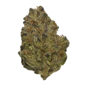 Image of THC AKUT MG 24 BCP