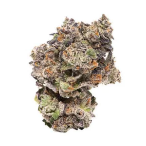 Image of Cookies 28/1 HR