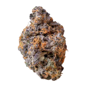 Image of enua 30/1 GKM CA