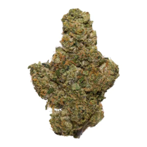 Image of Bathera 20/1 PMM