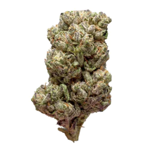 Image of THC AKUT FB 24 KM