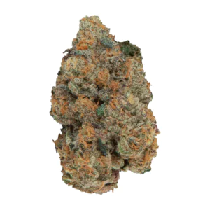 Image of Barongo 24/1 BC
