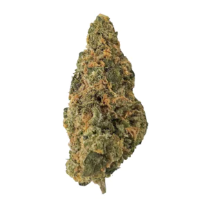 Image of Nimbus easy 26/1 Wavedaze
