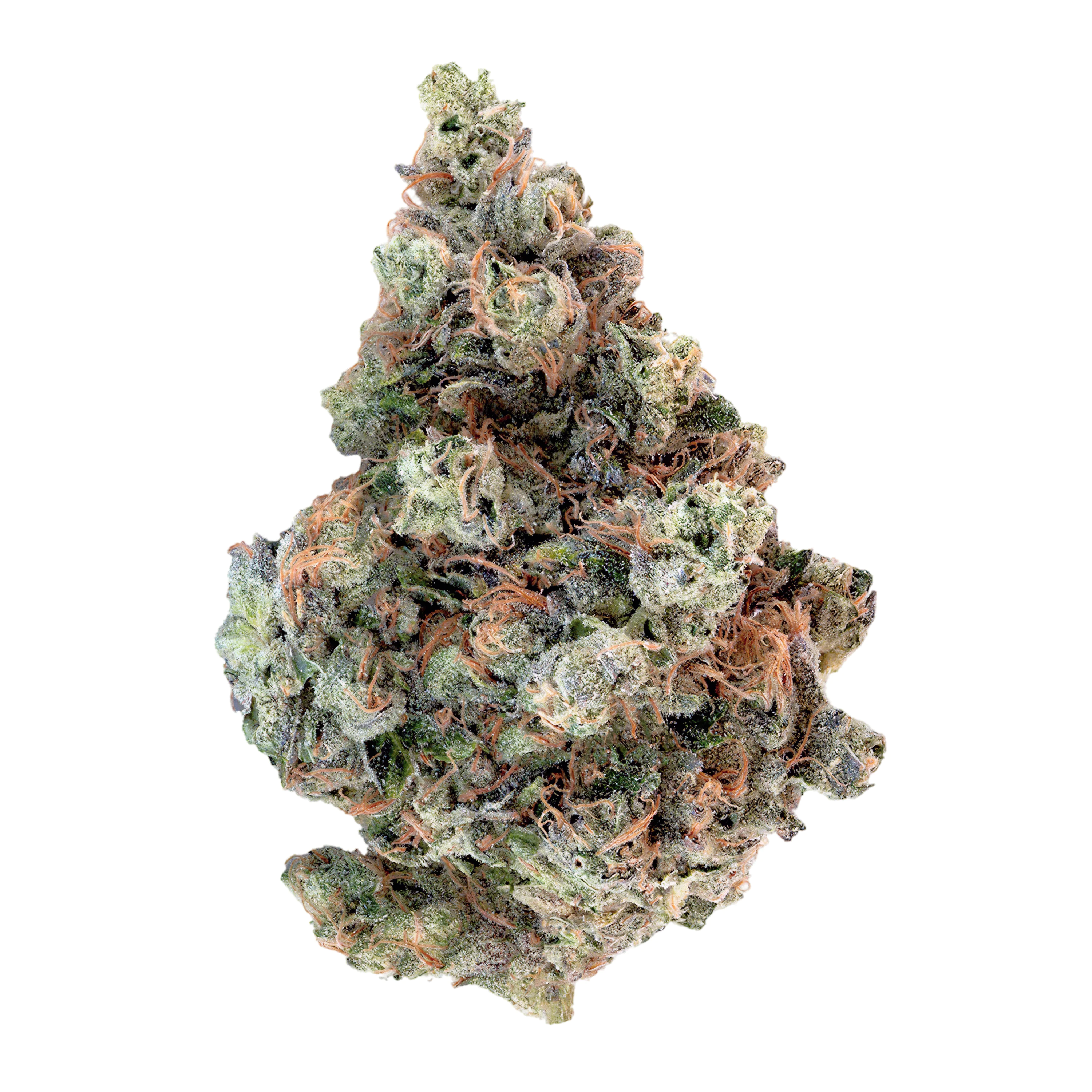 Image of slouu 27/1 ZKS CA