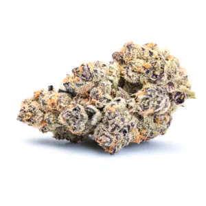 Image of 28/1 Amici CM