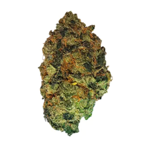 Image of mediproCan Lunaris 23/1 Legend OG